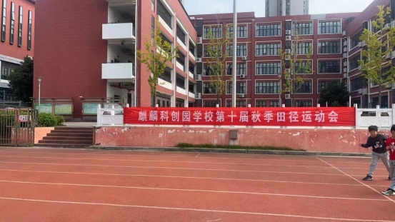 c901a5983670c8e6355c280a2f23e68d