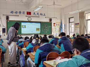 5df36ce962efc78d0ae14e4d394df579